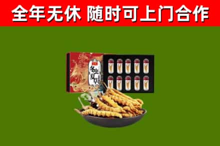 上城区回收冬虫夏草价格